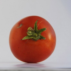 ACE_tomate