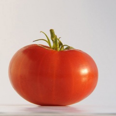 AKER_S_WEST_VIRGINIA_tomate