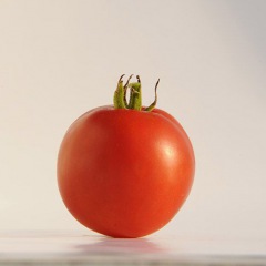 ALISA_CRAIG_tomate