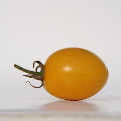 ALMETIA_tomate