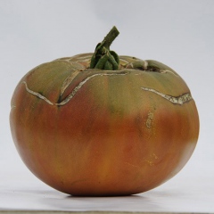 ANANAS_NOIRE_tomate