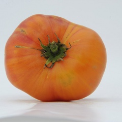 ANANAS_PAUL_ROBESON_NOIRE_tomate