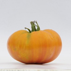 ANANAS_tomate