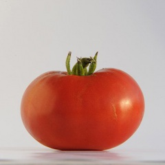 ANDREW_RAHART_S_JUMBO_RED_tomate