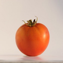 API_ROUGE_tomate