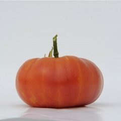 ARMENIAN_tomate