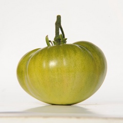 AUNT_RUBY_S_GERMAN_QUEEN_tomate