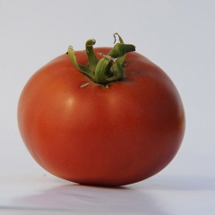 BASKET_VEE_tomate