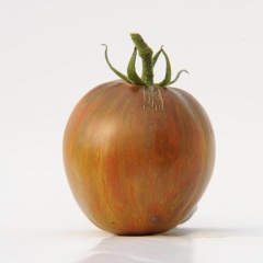 BROWN_FLESH