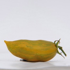 CAYTANA
