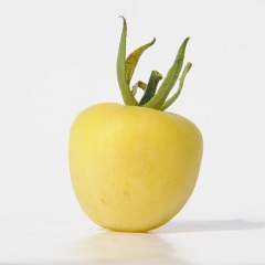 CHERRY_GHOST