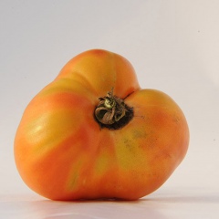 COEUR_DEBOUEF_ORANGE