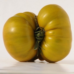GREEN_VELVET