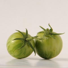 GREEN_ZEBRA_CHERRY