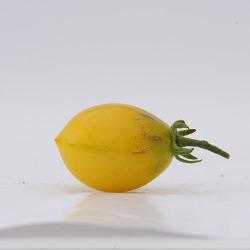 FARGO_YELLOW_PEAR