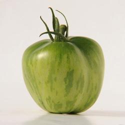 GREEN_BELL_PEPPER