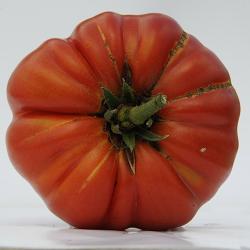 MARMANDE_GARNIER