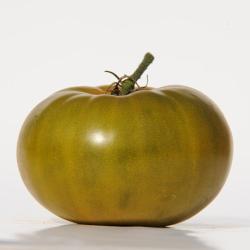 MARMANDE_VERTE