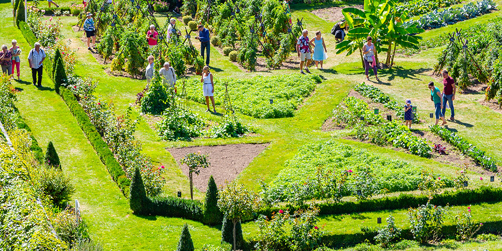 conservatoire de la tomate tours