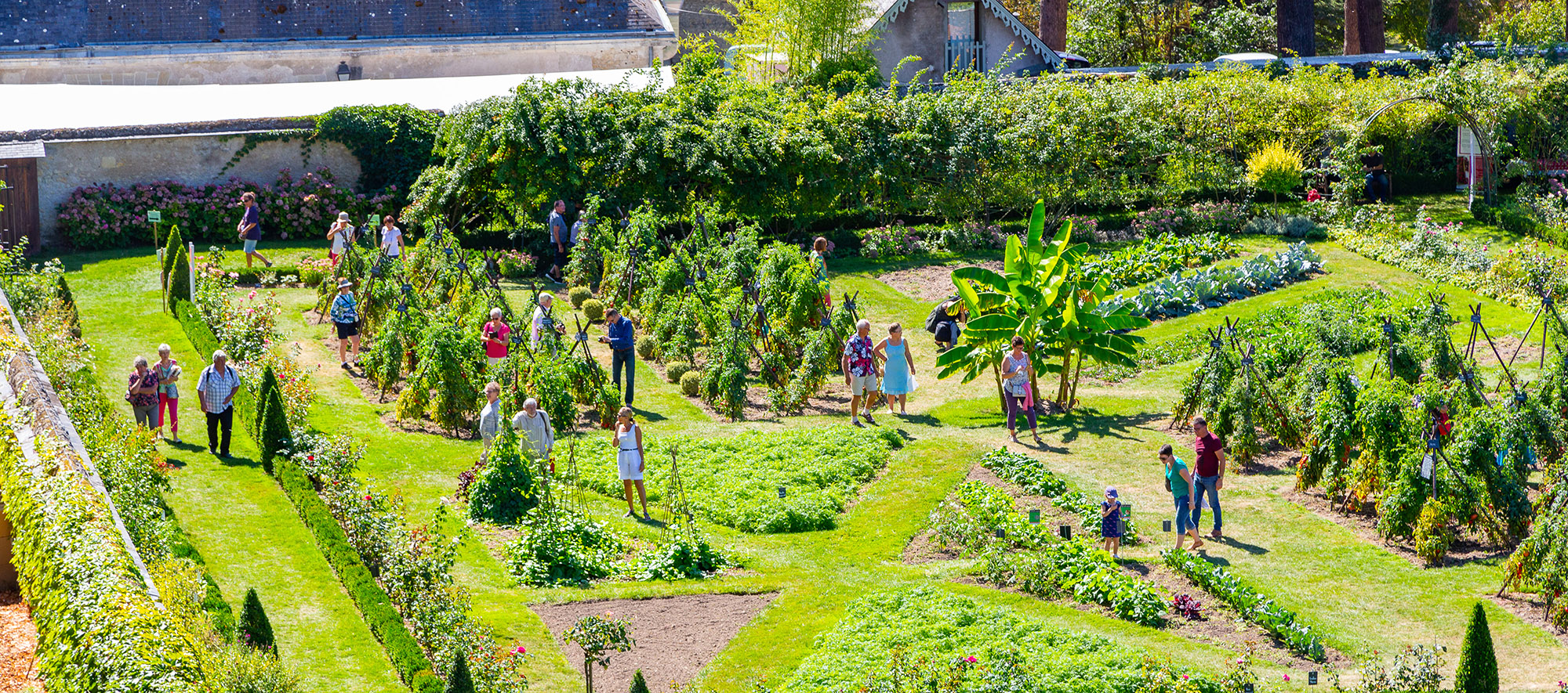 conservatoire de la tomate tours